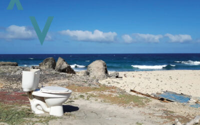 Data says: Extra Toilets are Crap